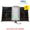 Đèn đường NLMT Grain Light 2.0C (100W)