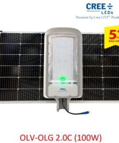 Đèn đường NLMT Grain Light 2.0C (100W)