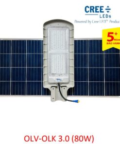 Đèn đường NLMT Kinglight 3.0 (80W)