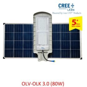 Đèn đường NLMT Kinglight 3.0 (80W)
